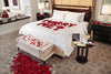 Will You Marry Me Suite Experience